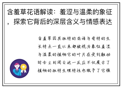 含羞草花语解读：羞涩与温柔的象征，探索它背后的深层含义与情感表达